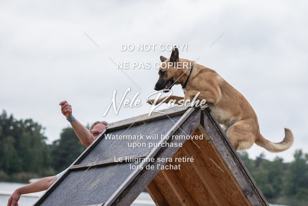 nelerasche_BuHu2026_So1530-Ende_91 | nelerasche