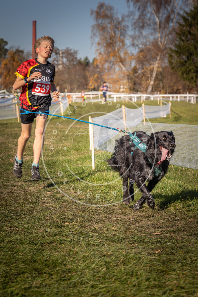 CaniXpix_0L8A7508 | Hundefotografie, Tierfotograf, Pfotenfotografie, Fotoshooting Hund, Hunde Portrait, Hundesport, Hundeportraits, Heideshooting, Hunde, Sportfotograf, Hundefotograf, Turnierhundsport, THS,  - Realisiert mit Pictrs.com