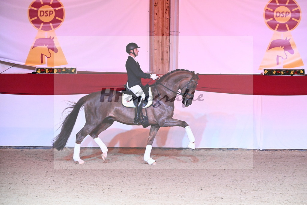 Feliciano_Wadenspanner_2254399 | hf-fotografie - Realisiert mit Pictrs.com