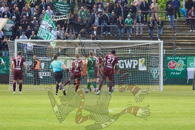 BFC Dynamo vs. BSG Chemie Leipzig  027 | mythos-online-redaktion