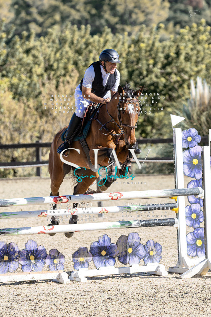 IMG_0745 | s-jay-photography - Realisiert mit Pictrs.com