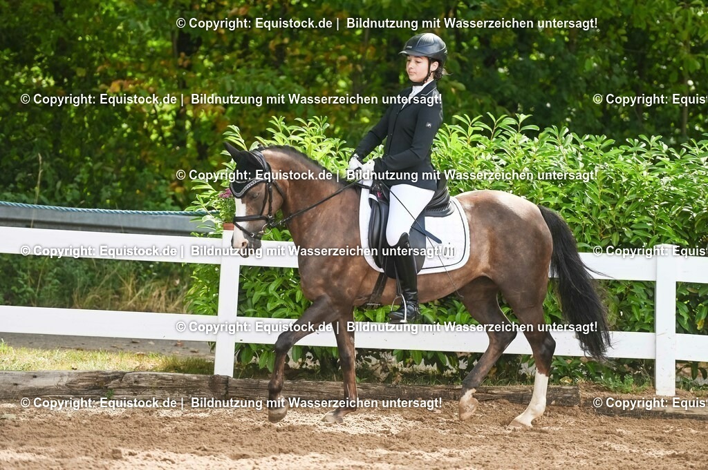 20230716_10-1_Reiter-WB Schritt - Trab - Galopp_0175 | equistock