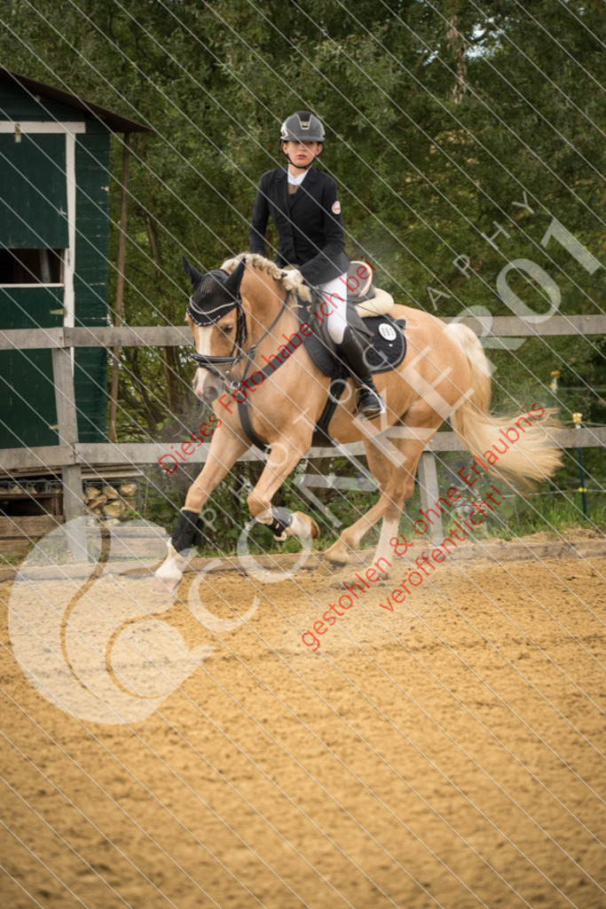 DSC_7362 | Sport-, Event- und Tierfotos in Profiqualität. Einfach auswählen, bestellen und herunterladen. Dein Moment – perfekt festgehalten.