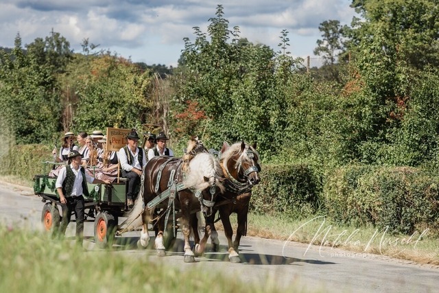 7V6A1436 | natalia-nirschl-photography