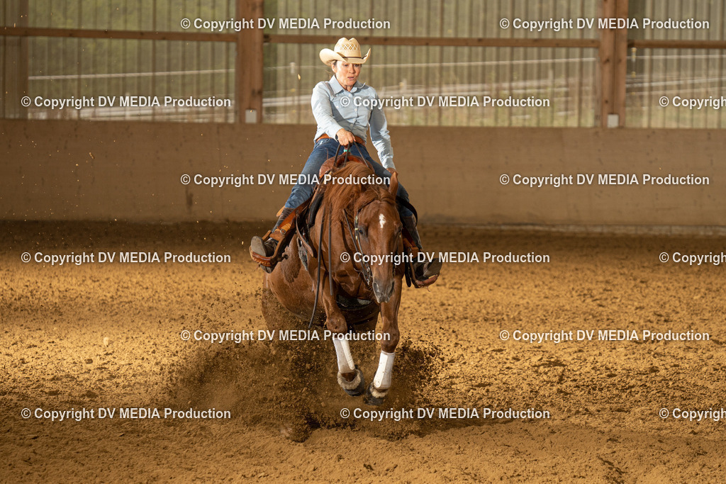 LAU00846 | dv-media-shop - Realisiert mit Pictrs.com