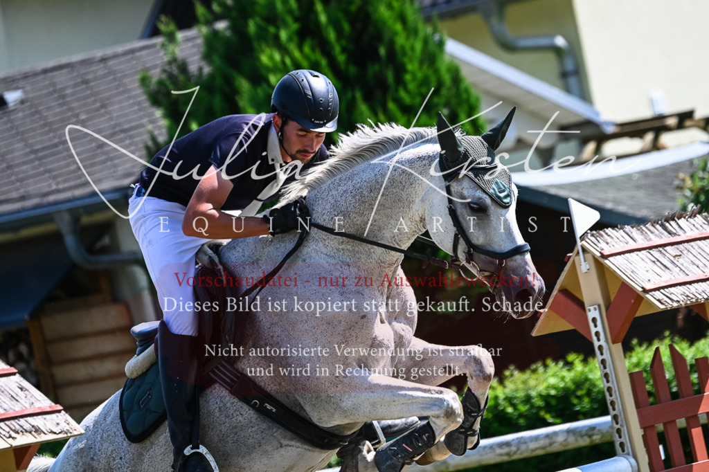 DSC_1145 | Pferde- und Turnierfotografie in Westsachsen. Pferdeportraits, Auftragszeichnungen und intuitive Kunst.