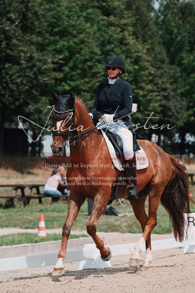 DSC_3809 | Pferde- und Turnierfotografie in Westsachsen. Pferdeportraits, Auftragszeichnungen und intuitive Kunst.