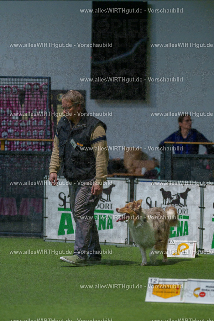 7R505093 | Professionelle Tierfotografie in Mönchengladbach von Daniel Wirth (allesWIRTHgut). Liebevolle & natürliche Bilder von Hunden & Katzen für unvergessliche Erinnerungen.