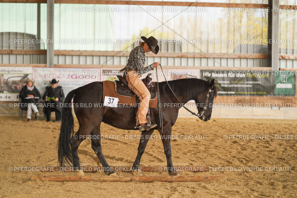 DSC01890 | Pferdegrafie