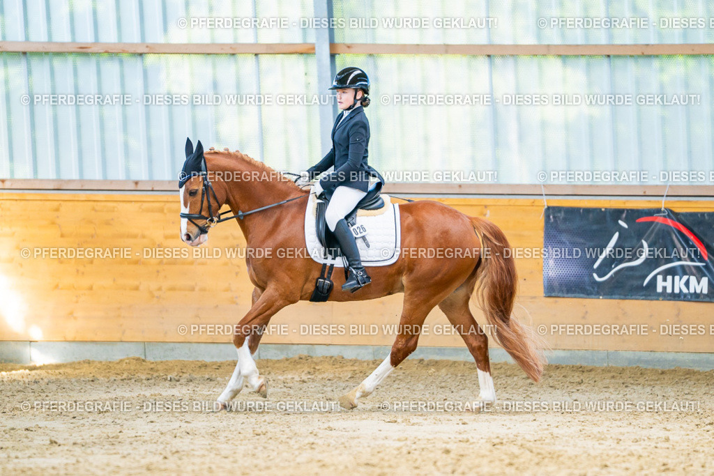 DSC06885 | Pferdegrafie