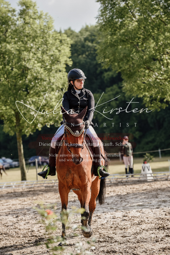 DSC_8487 | Pferde- und Turnierfotografie in Westsachsen. Pferdeportraits, Auftragszeichnungen und intuitive Kunst.