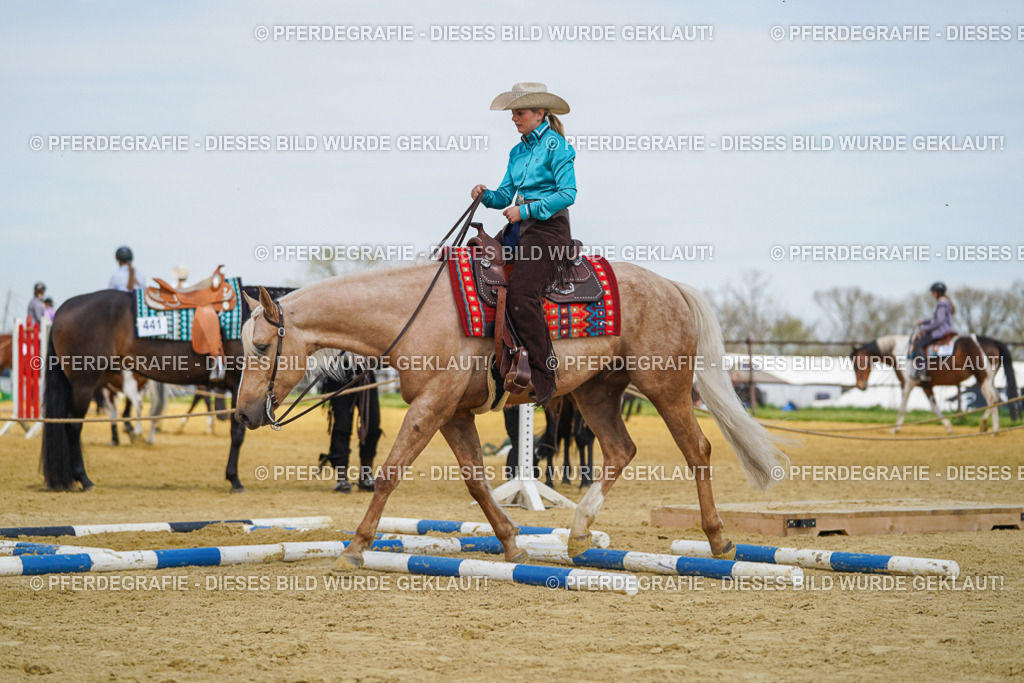 DSC05443 | Pferdegrafie