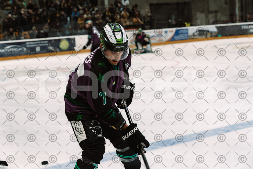 Alligators_vs_Bayreuth_10_2025-20 | Höchstadt Alligators Fotogalerie: Eishockey-Action aus Franken. Professionelle Spielfotos, Portraits & Stadionbilder zum Download. Jetzt entdecken! - Realisiert mit Pictrs.com