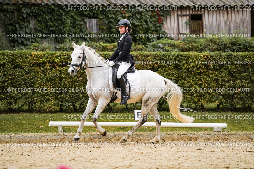 DSC07793 | Pferdegrafie