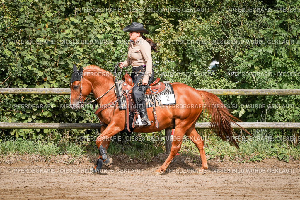 DSC09640 | Pferdegrafie