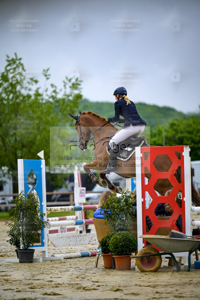 Reitturnier Lienen | Entdecke hochwertige Reitturnierfotos von Foto Oger. Professionell, emotional und authentisch – jetzt Lieblingsmomente im Shop bestellen. - Realisiert mit Pictrs.com