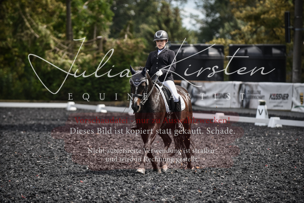 DSC_5088 | Pferde- und Turnierfotografie in Westsachsen. Pferdeportraits, Auftragszeichnungen und intuitive Kunst.
