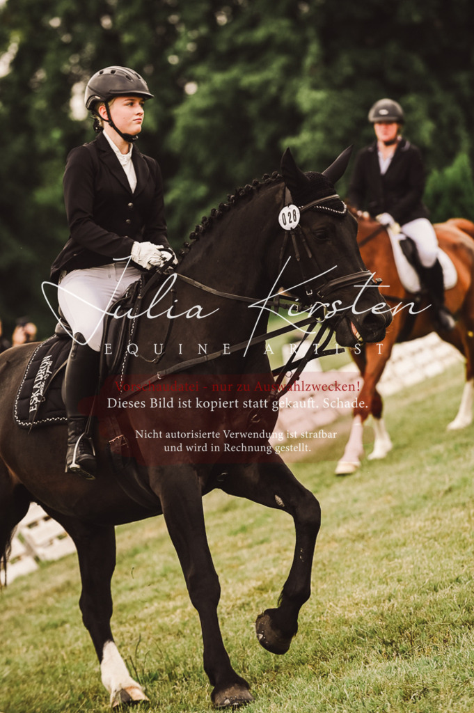 DSC_5100 | Pferde- und Turnierfotografie in Westsachsen. Pferdeportraits, Auftragszeichnungen und intuitive Kunst.