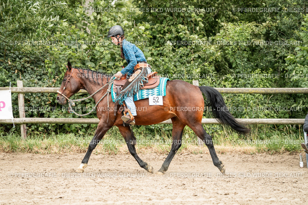 DSC01500 | Pferdegrafie