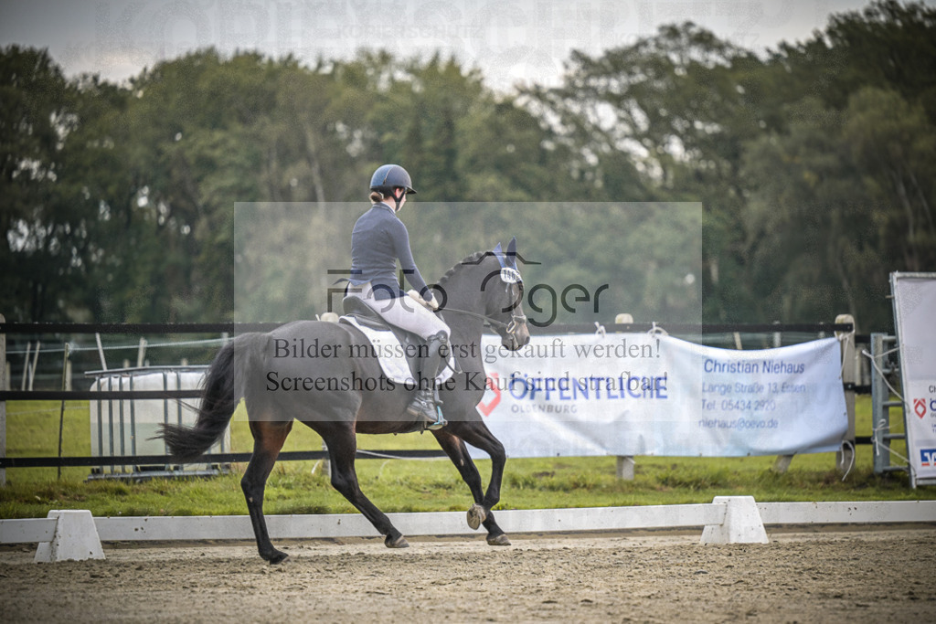 DOS_2401 | Entdecke hochwertige Reitturnierfotos von Foto Oger. Professionell, emotional und authentisch – jetzt Lieblingsmomente im Shop bestellen.Deutschlandweite Turnierfotografie. - Realisiert mit Pictrs.com