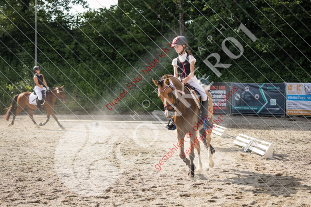 IMG_6125 | Sport-, Event- und Tierfotos in Profiqualität. Einfach auswählen, bestellen und herunterladen. Dein Moment – perfekt festgehalten.