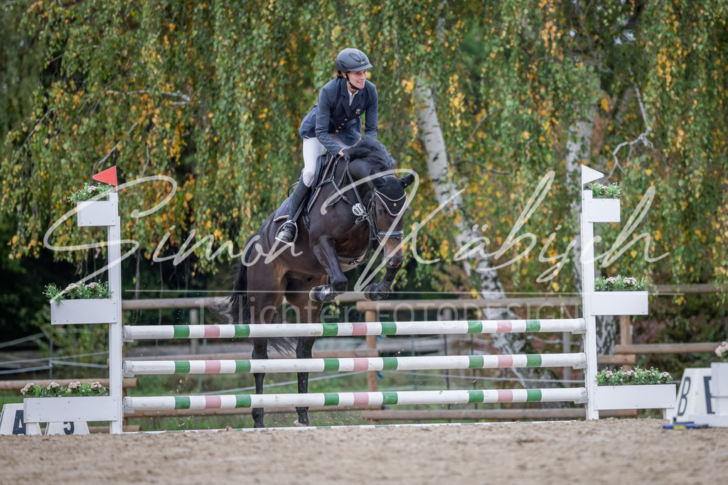 20251012-_3LI3774 | Tierfotografie Pferde, Hunde, Katzen, Haustiere.
Turnierfotografie Reitturniere, Reiten, Springreiten, Dressur in Hanau, dem Main-Kinzig-Kreis und dem Rhein-Main- Gebiet um Frankfurt
