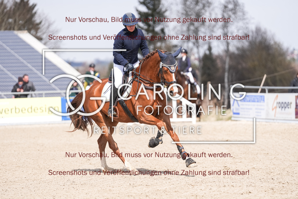 DSC05610 | Late_entry_Springturnier_Bad_Wurzach, Coloured_Cadou_G, Simone_Gall