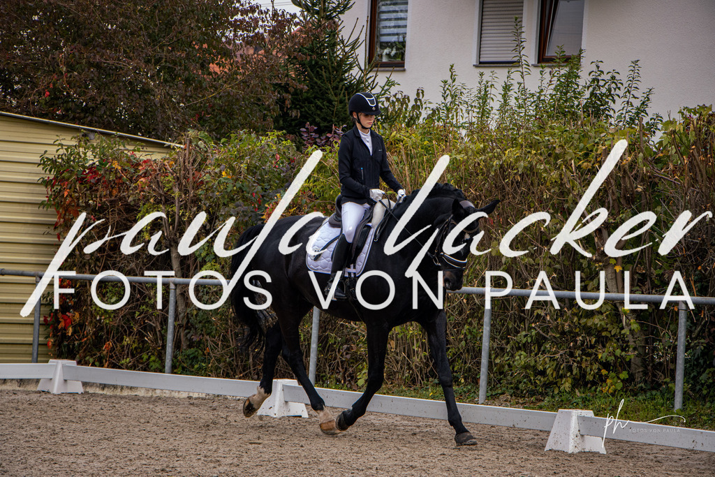 IMG_9277 | Erleben Sie dynamische Sport- und emotionale Tierfotografie in Süddeutschland mit Fotos von Paula. Spezialisiert auf Pferde- und Hundefotografie sowie Sportevents. Kontaktieren Sie mich für einzigartige und ausdrucksstarke Bilder Ihrer besonderen Momente. - Realisiert mit Pictrs.com