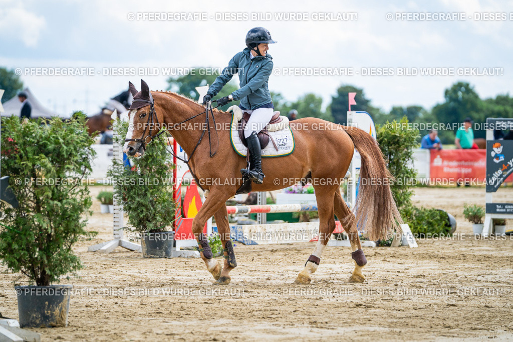 DSC05883 | Pferdegrafie