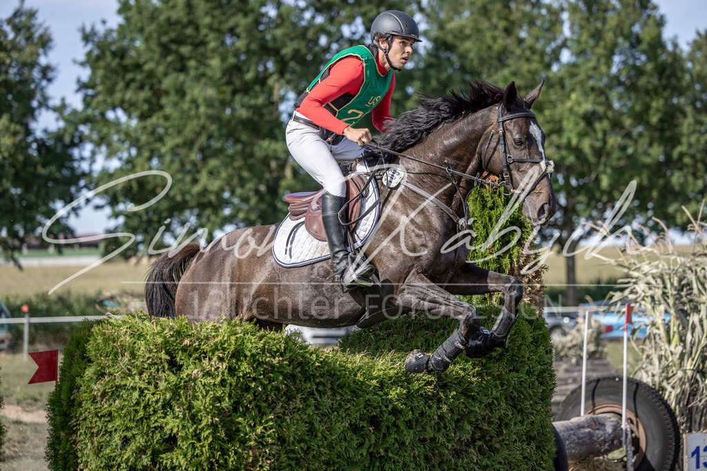 20250907-_3LI2797 | Tierfotografie Pferde, Hunde, Katzen, Haustiere.
Turnierfotografie Reitturniere, Reiten, Springreiten, Dressur in Hanau, dem Main-Kinzig-Kreis und dem Rhein-Main- Gebiet um Frankfurt