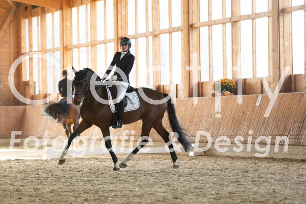 IMG_3870 | Creatify Fotografie