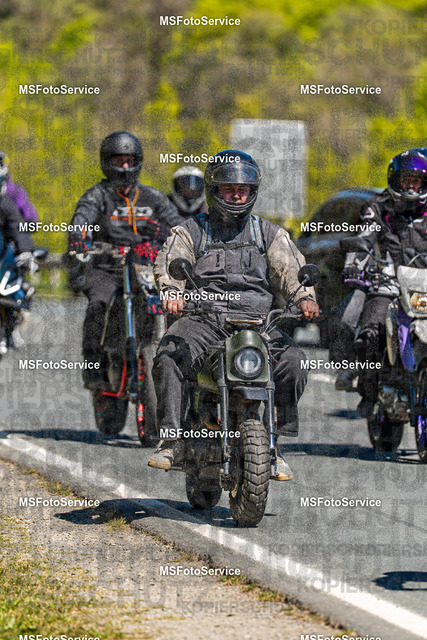 MSFotoServiceXXX416 | MSFotoService - Realisiert mit Pictrs.com