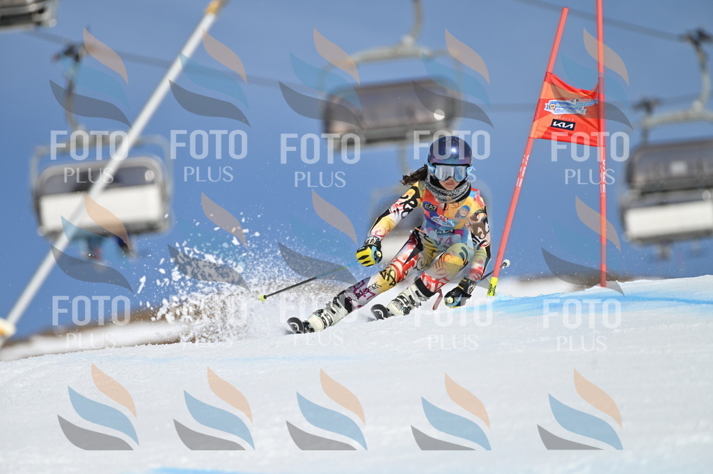 BGV_8972 | holidayphoto