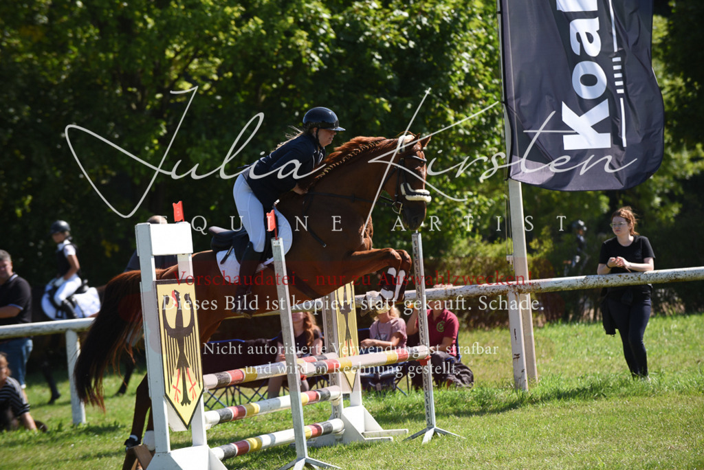 DSC_9355 | Pferde- und Turnierfotografie in Westsachsen. Pferdeportraits, Auftragszeichnungen und intuitive Kunst.