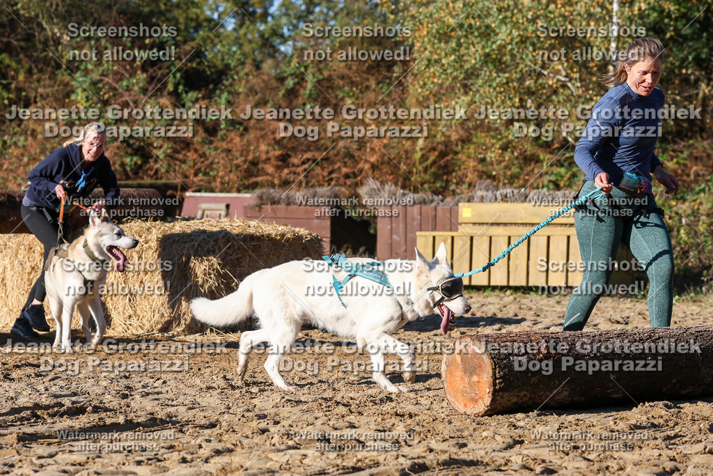 Dog Paparazzi - Strongdog 10-25-1683 | Dog Paparazzi Jeanette Grottendiek Fotografie & Videografie - Realisiert mit Pictrs.com