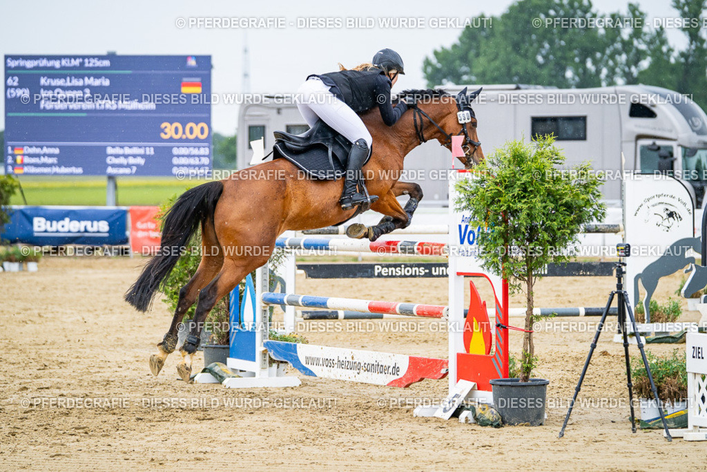 DSC08590 | Pferdegrafie