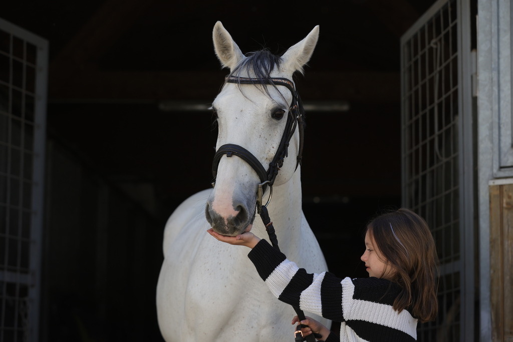 0P6A9016 | Willkommen bei Brunnmayr - Design & Fotografie – Ihrem Spezialisten für Reitturniere und Pferdeveranstaltungen in Oberösterreich, Salzburg und Bayern! Seit über 17 Jahren sind wir leidenschaftlich dabei.