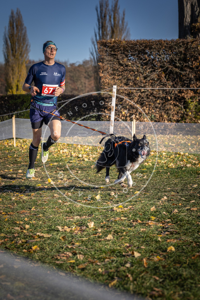 CaniXpix_DV3A0901 | Hundefotografie, Tierfotograf, Pfotenfotografie, Fotoshooting Hund, Hunde Portrait, Hundesport, Hundeportraits, Heideshooting, Hunde, Sportfotograf, Hundefotograf, Turnierhundsport, THS,  - Realisiert mit Pictrs.com