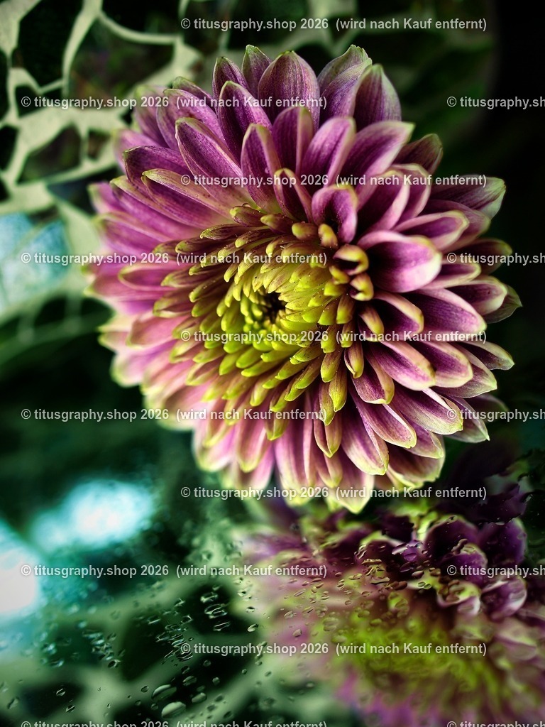 titusgraphy_P7159409-vz-ln_pe-06 | titusgraphy-shop: Geschenkideen mit Qualitätsfotos. titusgraphy-shop: gift ideas with quality photos. titusgraphy-shop: idées cadeaux avec photos de qualité.  - Realisiert mit Pictrs.com