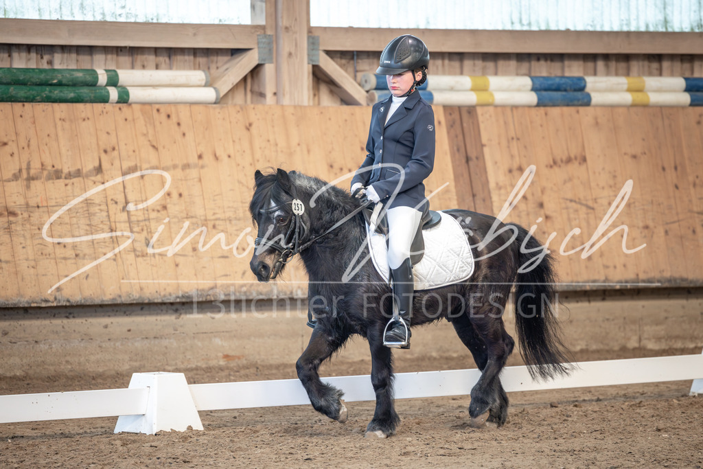 20251011-_3LI7993 | Tierfotografie Pferde, Hunde, Katzen, Haustiere.
Turnierfotografie Reitturniere, Reiten, Springreiten, Dressur in Hanau, dem Main-Kinzig-Kreis und dem Rhein-Main- Gebiet um Frankfurt