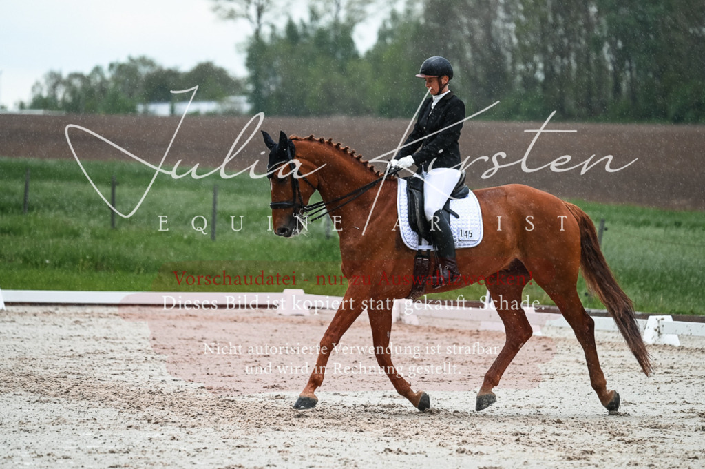 DSC_4416 | Pferde- und Turnierfotografie in Westsachsen. Pferdeportraits, Auftragszeichnungen und intuitive Kunst.