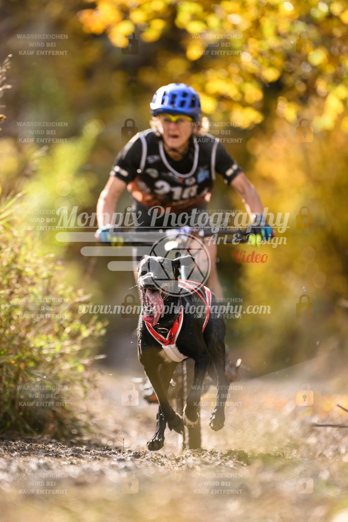 MompixPhotography_ICF_WC_2024_SA_Bike_-341 | PayLife