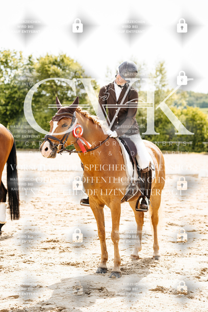CK703628 | Turnierfotografie Pferdefotografie Trier Rheinland-Pfalz Pferdesport Reitsport Tierfotografie Sportfotografie Pferdevideo Pferdevideografie Equestrianvideography equestrianphotography  - Realisiert mit Pictrs.com