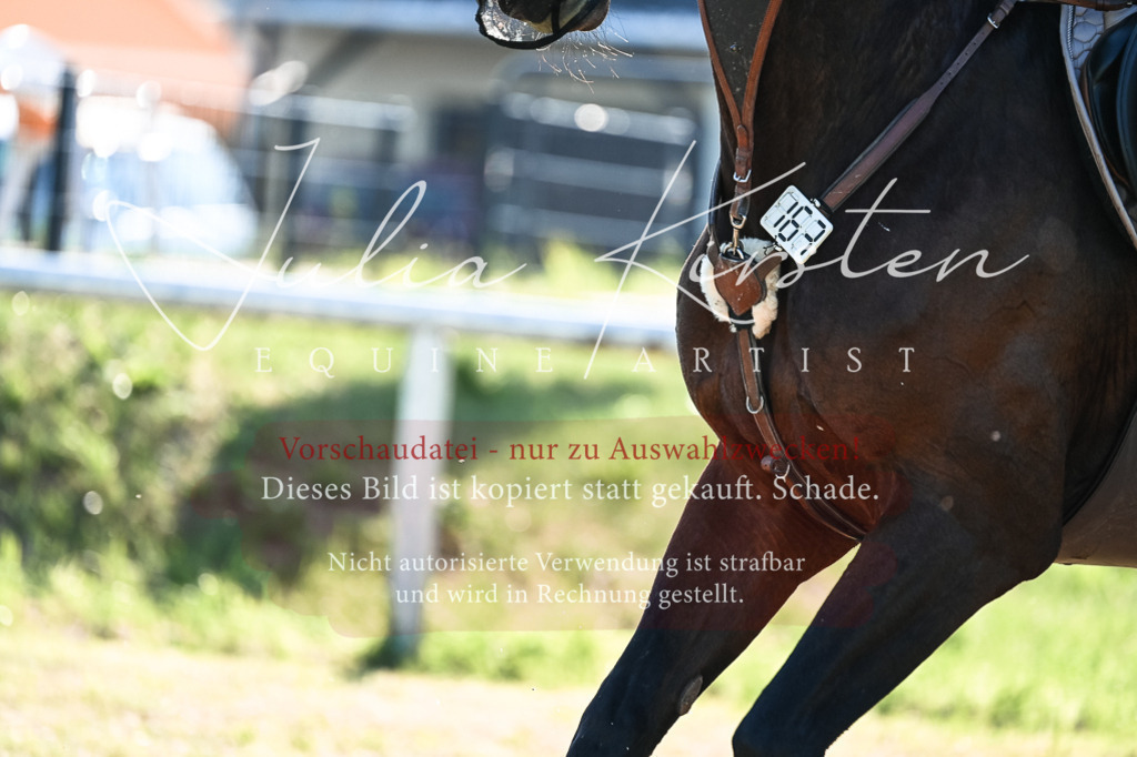 DSC_2931 | Pferde- und Turnierfotografie in Westsachsen. Pferdeportraits, Auftragszeichnungen und intuitive Kunst.