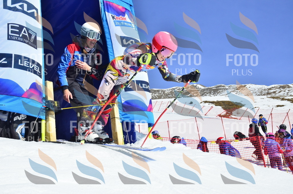 _ELE0083 | holidayphoto