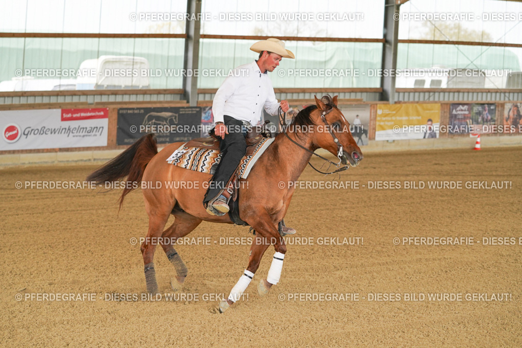 DSC06913 | Pferdegrafie