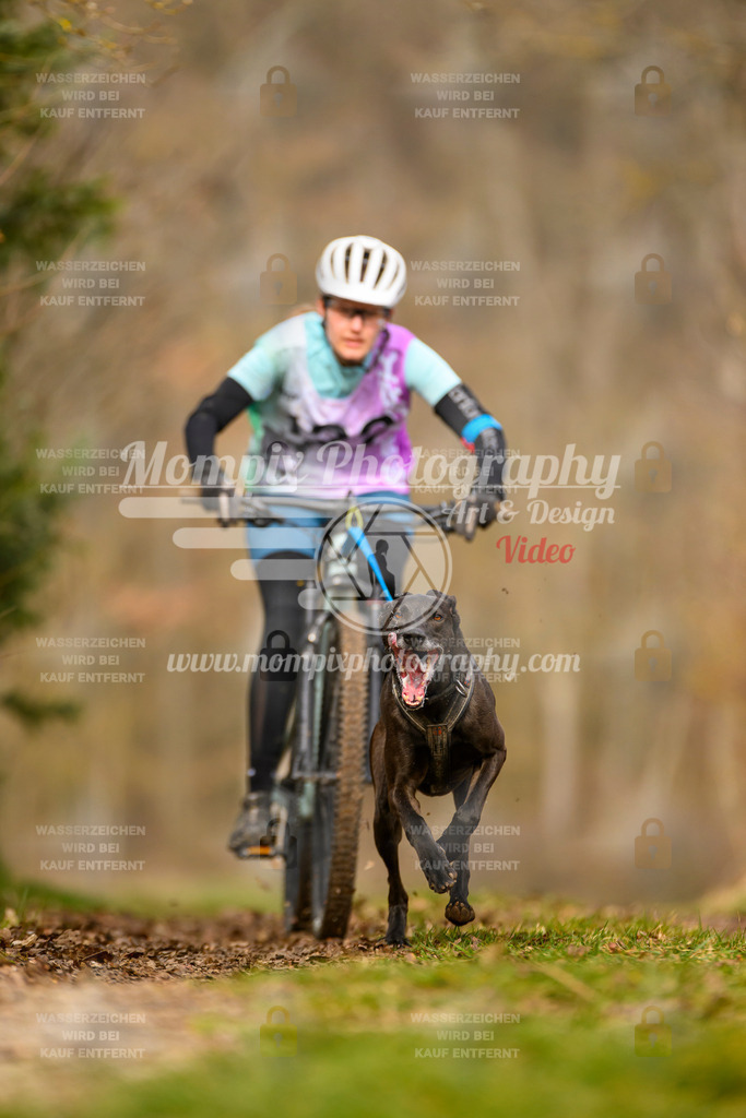 MompixPhotography_Schwabentrail2024_Bike-91 | PayLife
