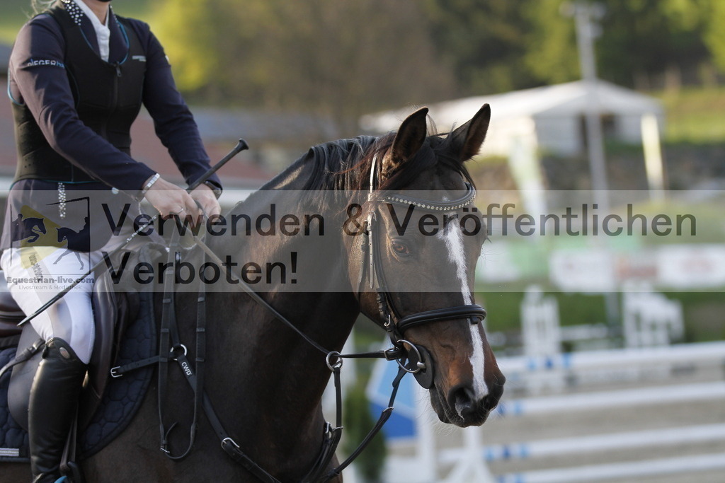 _MG_8624 | equestrian-live-com