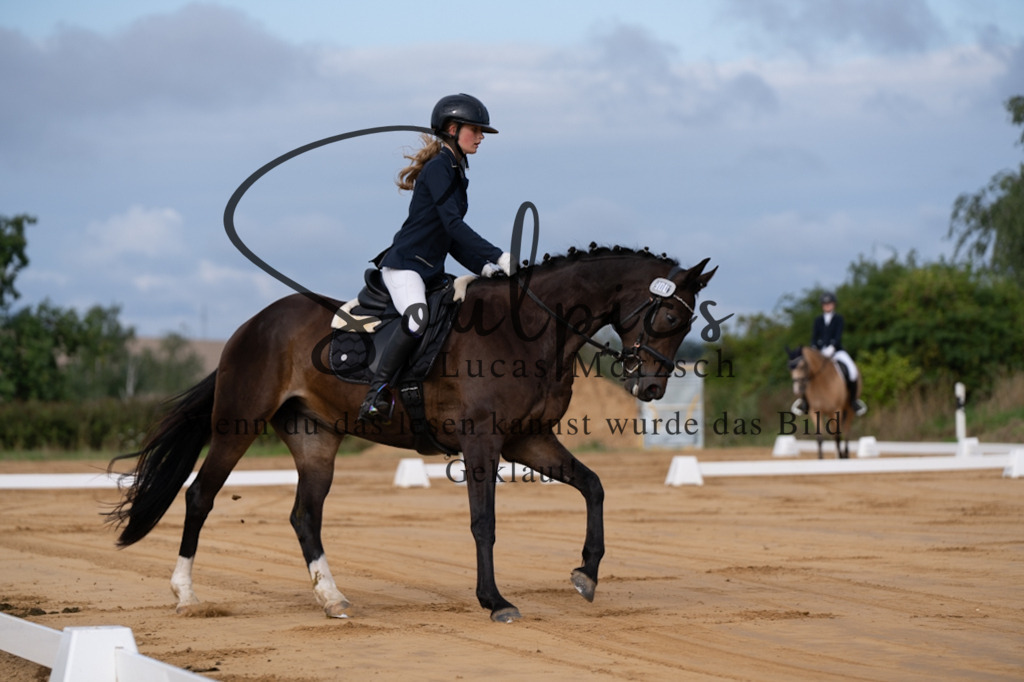 A7V05080 | Pferdefotograf