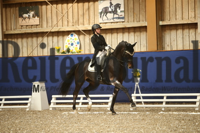 Turnier_Zeutern_2022_Prfg.Nr.08_Saskia Löwel_Fürstenballerina Live (6) | Alle Fotos der Reiterjournal Fotografin Doris Matthaes im Reiterjournal Online-Fotoshop. - Realisiert mit Pictrs.com